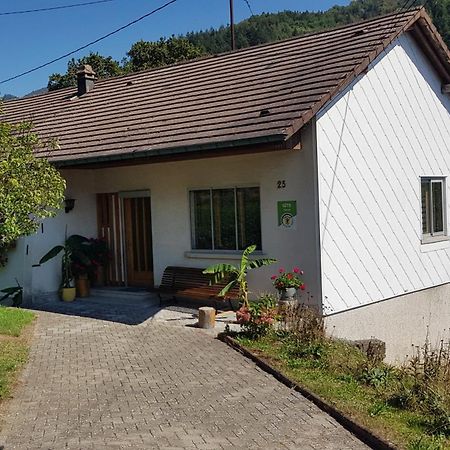 Willa Les Noyers Du Wissbach Willer-sur-Thur Zewnętrze zdjęcie