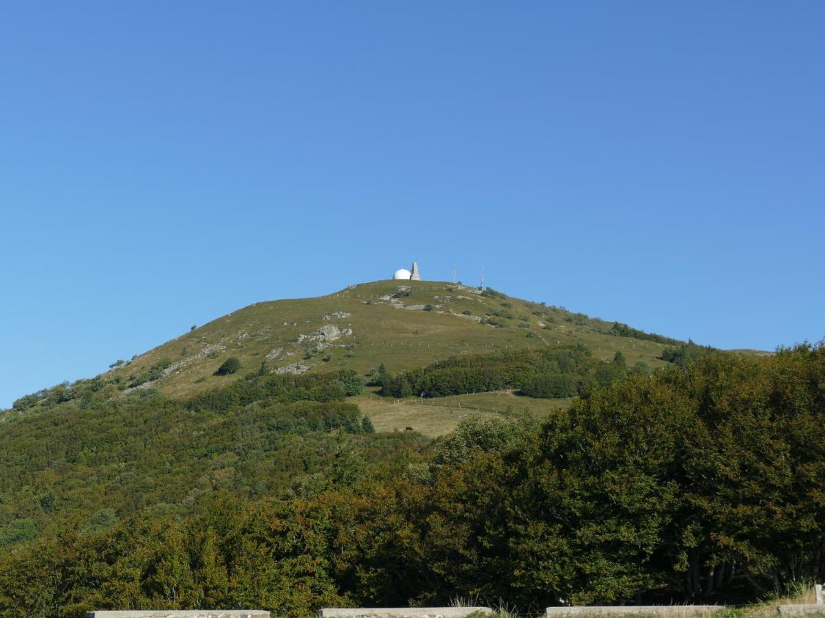 Willa Les Noyers Du Wissbach Willer-sur-Thur Zewnętrze zdjęcie