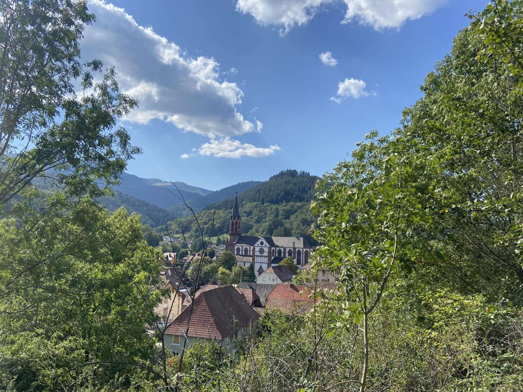 Willa Les Noyers Du Wissbach Willer-sur-Thur Zewnętrze zdjęcie
